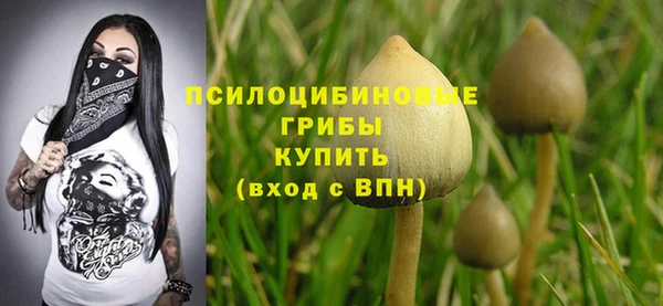 спайс Балабаново