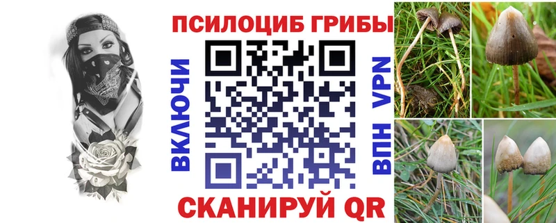 mega tor  Билибино  Галлюциногенные грибы Cubensis  купить наркотик 